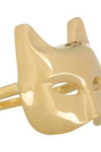 Fierce Feline Accessories Image 4