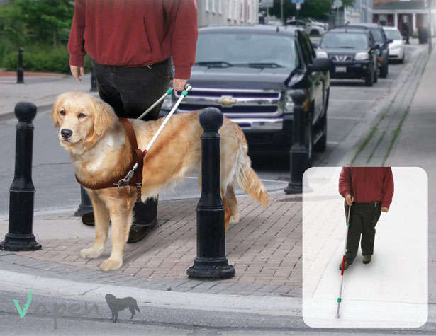 Multifunctional Guide Dog Gear