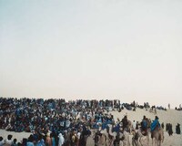 Gallant Global Captures Image 4