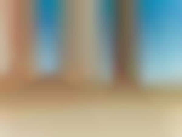 Blurred Barcode Captures