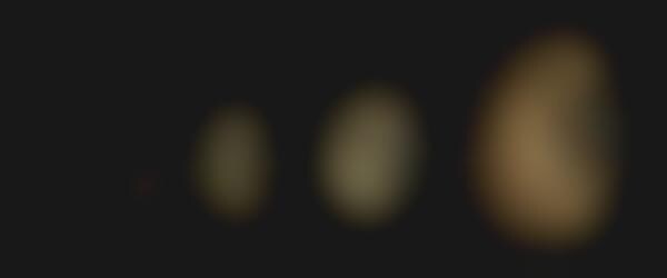 Animal Embryo Captures