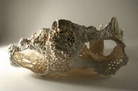 Intricate Nature-Inspired Sculptures Image 4