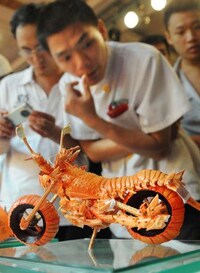 Crazy Crustacean Bikes Image 3