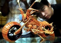 Crazy Crustacean Bikes Image 4
