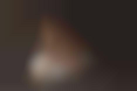 Frolicking Kid Car Captures