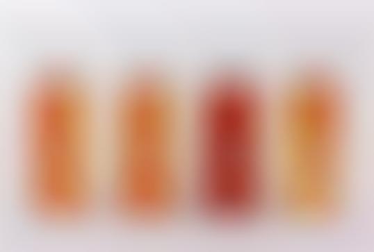 Harmonious Honey Branding