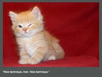 Perverted Pet Photoblogs Image 2