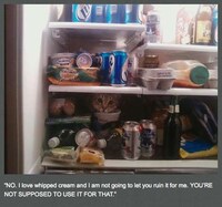 Perverted Pet Photoblogs Image 6