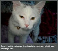 Perverted Pet Photoblogs Image 7