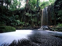 Eco-Friendly Feds Image 2