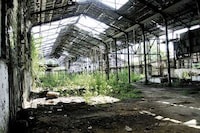Eco-Friendly Feds Image 3