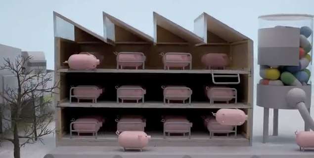 Organic Fast Food Campaigns