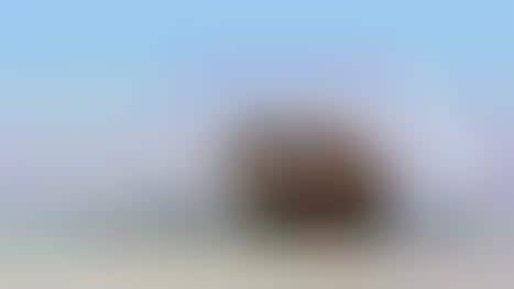 Exotic Elevated Eateries