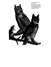 Secret Society Blogs Image 7