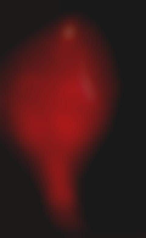 Bloody Conceptual Fashion