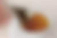 Teabag Wedging Utensils Image 1
