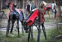 Gigantic Metal Cows Image 6