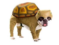 Canine Cosplay Image 3