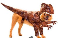 Canine Cosplay Image 4