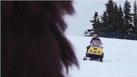 Bizarre Winter Land Narratives Image 8