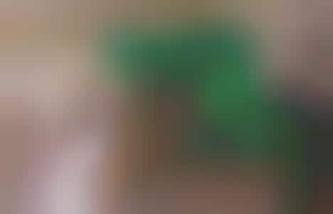 Celebrity Scandal Campaigns