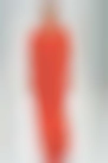 Classy Coral Maxis