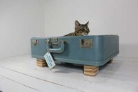 Luggage Kitty Pads