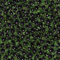 Vibrantly Bold Scarves Image 3