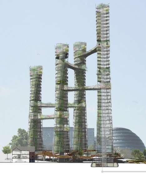 Actualized Urban Jungles