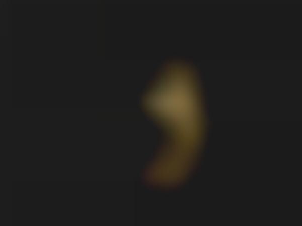 Bullet Shell Jewelry 