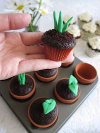 Growing Greenery Desserts Image 2