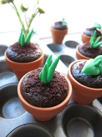 Growing Greenery Desserts Image 3