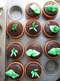 Growing Greenery Desserts Image 4