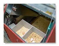 City-Friendly Chicken Coops Image 2