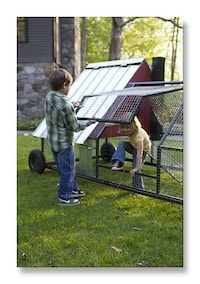 City-Friendly Chicken Coops Image 4