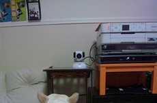 Personal Pet Hotlines