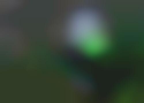 Spooky Halloween Snacks