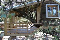 Foliage-Friendly Abodes Image 3