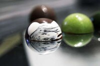 Cultured Cocoa Cases Image 8