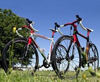 Gear-Head Bicycles