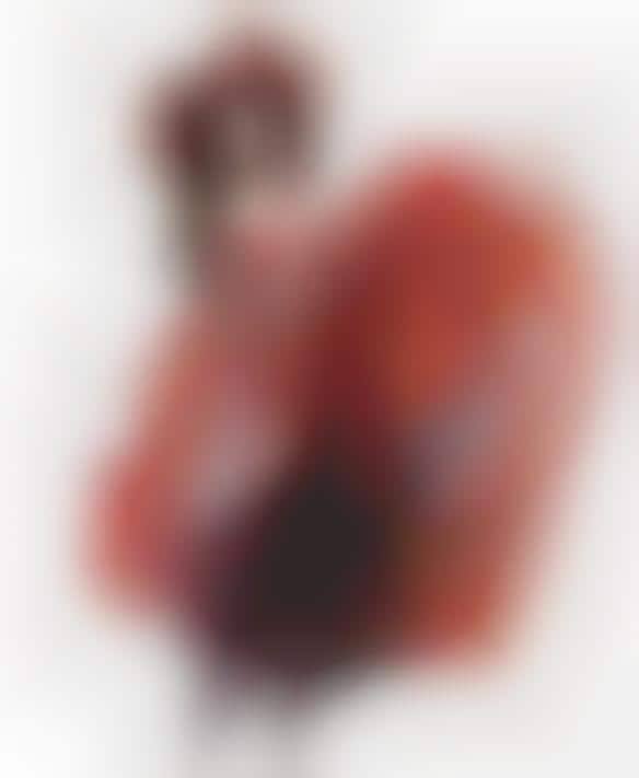 Blotchy Blown-Up Editorials