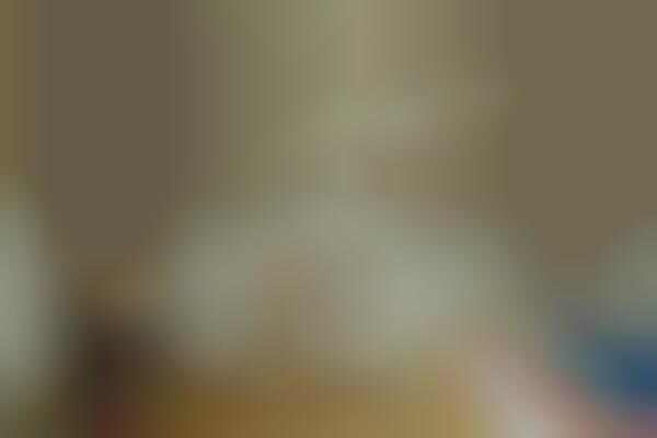 Ossified Domestic Photography