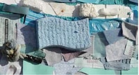 Lively Litter Campaigns Image 2