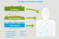 Planet-Saving Infographics Image 5