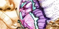 Numerical Insect Illustrations
