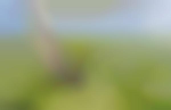Realistic Digital Paintbrushes