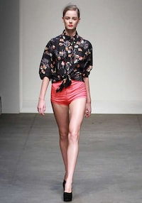 Fierce Feline Runways Image 6