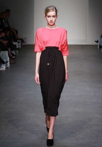 Fierce Feline Runways Image 7