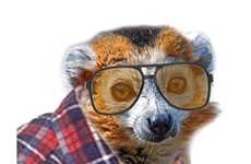 Hilarious High Fashion Fusions