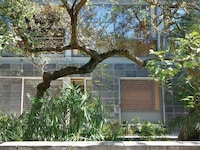 Arboreal Tropical Villas Image 2